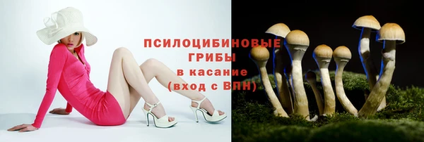 мдпв Корсаков