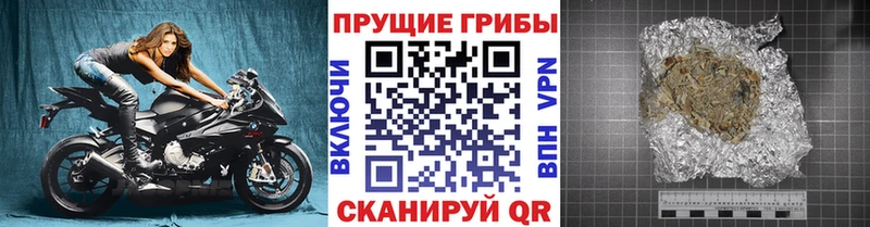 Галлюциногенные грибы прущие грибы  закладки  kraken ONION  Тихорецк 